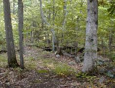 Takawambpait Trail