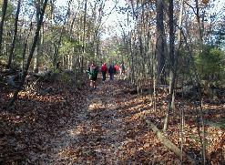 Hike