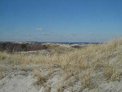 Crane Beach