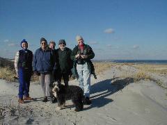 Crane Beach