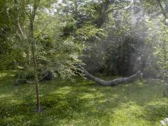 Sunnyside Gardens