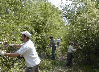 Trail
                clearing, May 2001