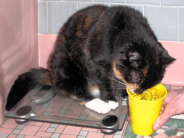Morgan drinks her
          water (April 2010)