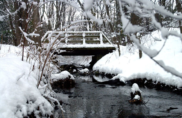 Bridge over Pegan Brook, in Pegan Cove Park.