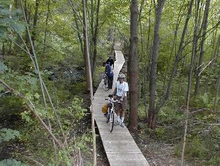 Snake
              Brook Trail