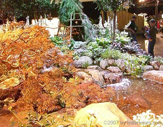 070323FlowerShow622 