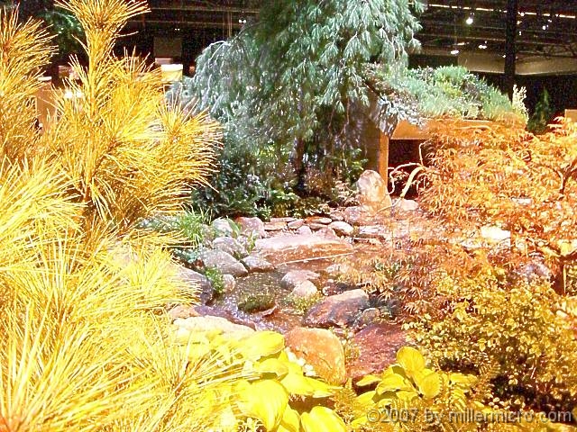 070323FlowerShow623 