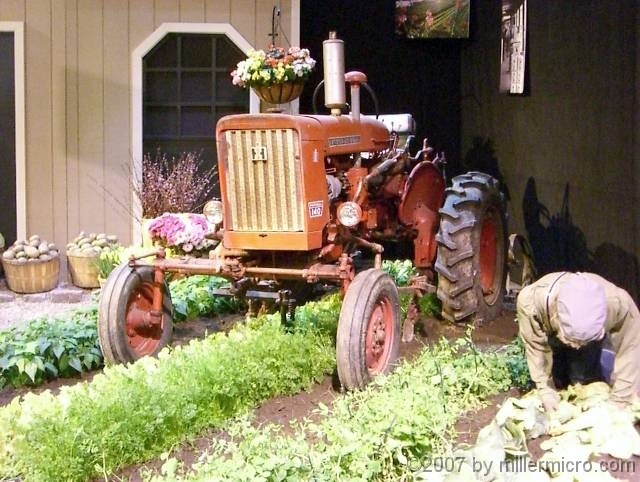 070323FlowerShow641 