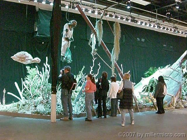 070323FlowerShow665 A deep-sea diver descends to this fanciful garden under the sea.
