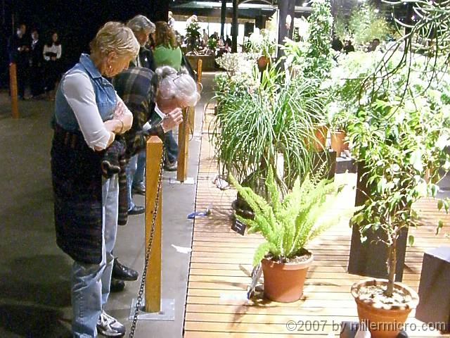 070323FlowerShow703 