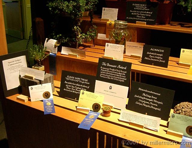 070323FlowerShow707 