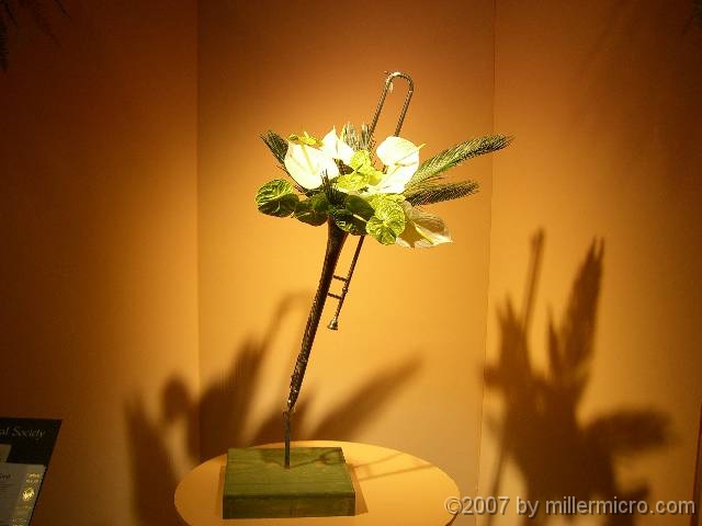 070323FlowerShow729 Formal flower arranging -- trumpet flowers?