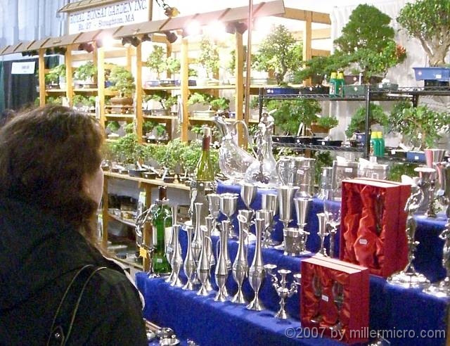070323FlowerShow736 How to show off your cut flowers? Many solutions were on display.