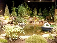 070323FlowerShow620