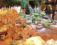 070323FlowerShow622