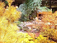 070323FlowerShow623
