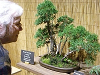 070323FlowerShow627