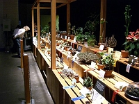 070323FlowerShow702 