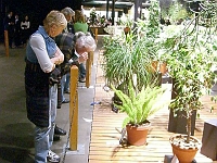 070323FlowerShow703