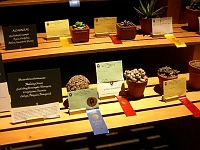 070323FlowerShow706 