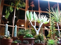 070323FlowerShow720