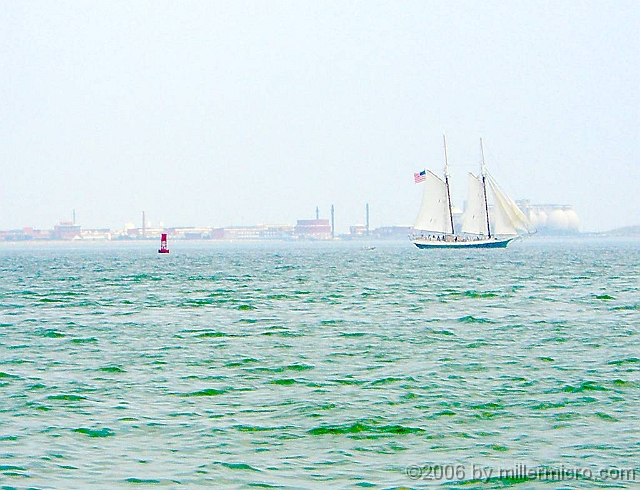 060727BostonSkyline4 We're pleased to find another schooner, <a href=http://www.libertyfleet.com/daily/boston.htm>the Liberty Clipper</a>, among the harbor traffic.