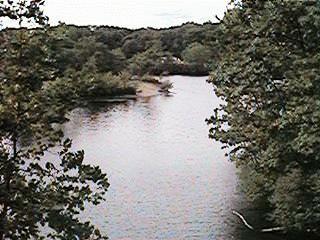 A Water View from
                CRT Bridge over Lake Cochituate